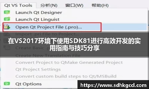 在VS2017环境下使用SDK81进行高效开发的实用指南与技巧分享
